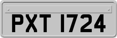 PXT1724