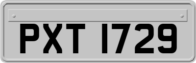 PXT1729