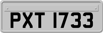 PXT1733