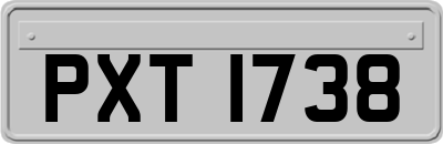 PXT1738