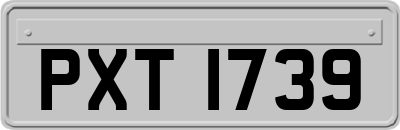 PXT1739