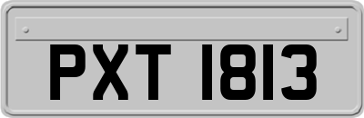 PXT1813