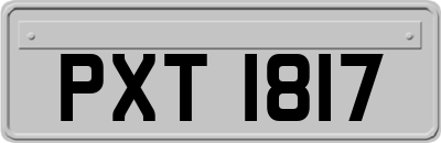 PXT1817