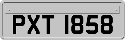 PXT1858