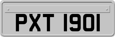 PXT1901