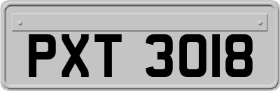 PXT3018