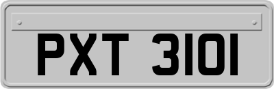 PXT3101