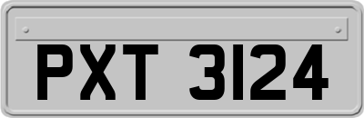 PXT3124