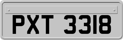 PXT3318