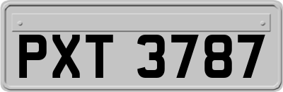 PXT3787