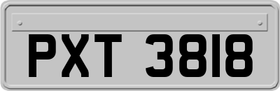 PXT3818