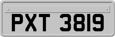 PXT3819