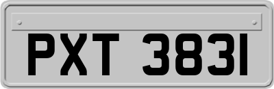 PXT3831