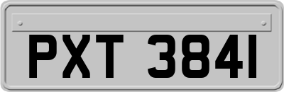 PXT3841