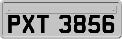 PXT3856