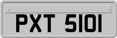 PXT5101