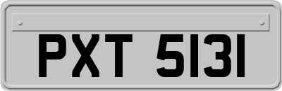 PXT5131