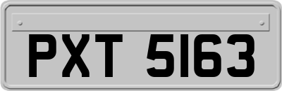 PXT5163