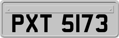 PXT5173