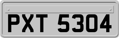 PXT5304