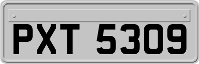 PXT5309