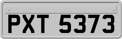 PXT5373