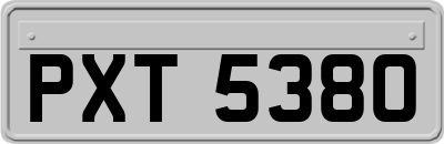 PXT5380