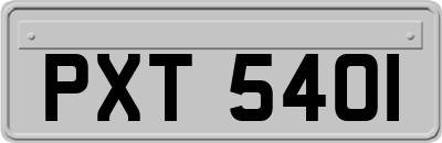 PXT5401