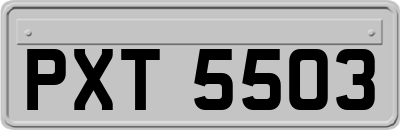 PXT5503