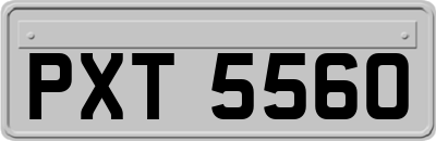 PXT5560