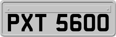 PXT5600