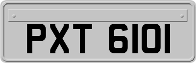 PXT6101