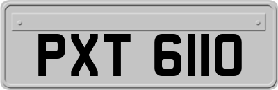 PXT6110