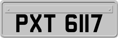 PXT6117