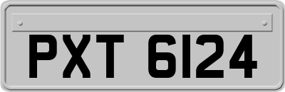 PXT6124