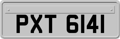 PXT6141