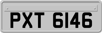 PXT6146