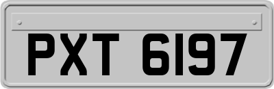 PXT6197