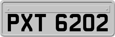 PXT6202