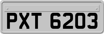 PXT6203