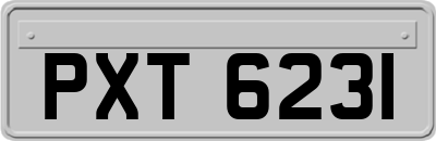 PXT6231