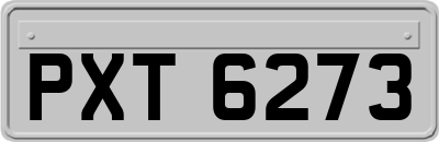 PXT6273