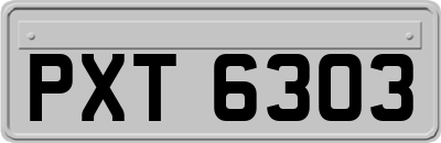 PXT6303