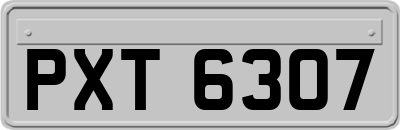 PXT6307