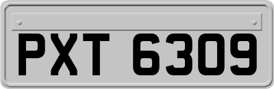 PXT6309