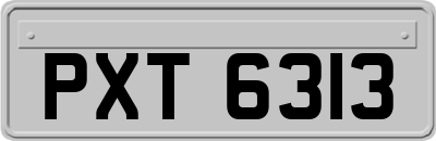 PXT6313