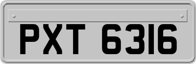 PXT6316