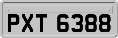 PXT6388