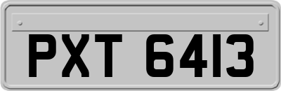 PXT6413