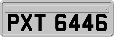 PXT6446